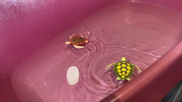 Zuru Robo Turtle kilpikonna смотреть онлайн