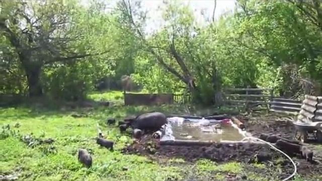 мои вьетнамчики смотреть онлайн