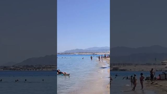 Обзор отеля Amarina Abu Soma смотреть онлайн