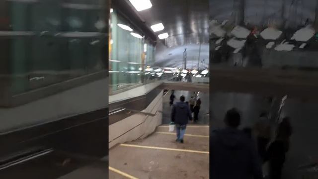 Московское метро станция Тропарёво смотреть онлайн
