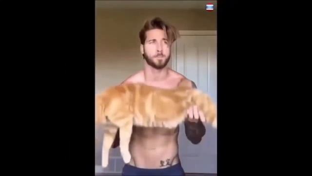 Подборка кубов 2017 ЛУЧШАЯ ПОДБОРКА ПРИКОЛОВ COUB 18+ Best coub смотреть онлайн