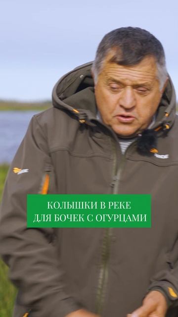 Старейшая техника засолки огурцов В РЕКЕ #бизнесвдеревне #сельскоехозяйство смотреть онлайн