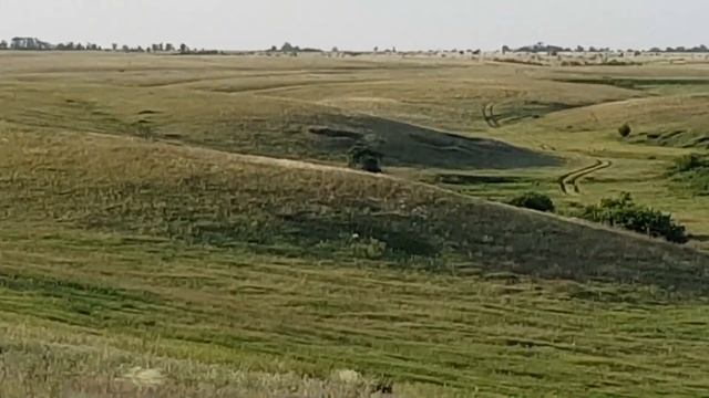 Стрельба на 1250 метров, винтовка РЕКОРД (СВ-98) , калибр 338LM смотреть онлайн