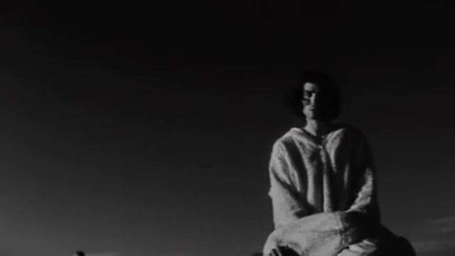 Nico «The Falconer» смотреть онлайн