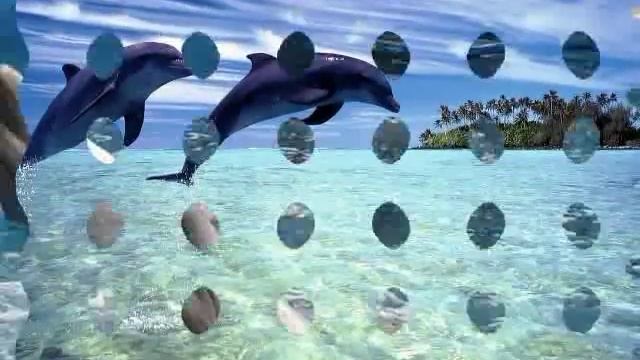 David Britten Dance of the dolphins смотреть онлайн