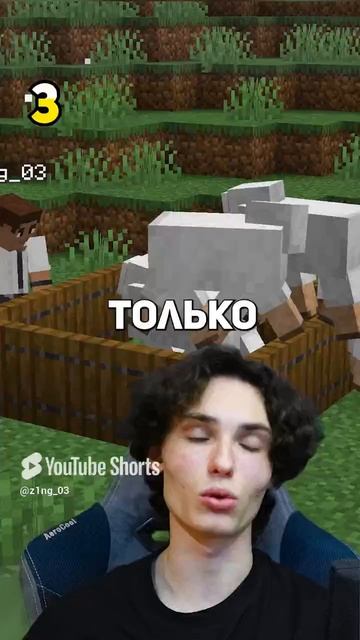 146 СЕКРЕТОВ В МАЙНКРАФТЕ #minecraft #майнкрафт #секретымайнкрафт (9) смотреть онлайн