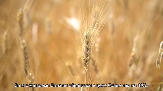 Золото по итогам второго квартала окажется доходнее биткоина смотреть онлайн
