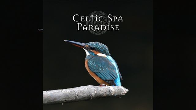 Pure Fantasy смотреть онлайн