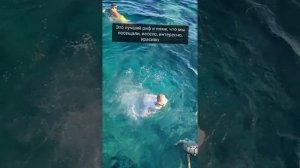 Sheraton Soma bay resort 5* обзор отеля Сома бэй Египет Лучший риф во всей Хургаде