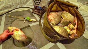 КАРАСИ НЕ ЛЕЗУТ В ЛУНКУ! Первый лед 2024-25. Рыбалка на озере Уелги