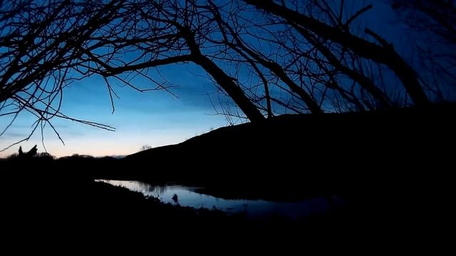 17.04.2015- охота с подсадной уткой. смотреть онлайн