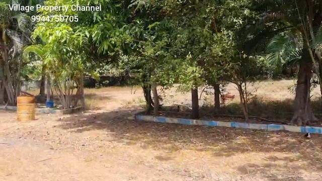SOLD OUT ECR Edaikazhinadu Beautiful Farmland 40 Cent Sea Side Property смотреть онлайн