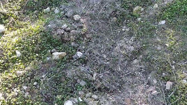 BUGÜN TEKTEKE CIKTIM ALTIN BULUNDUM смотреть онлайн