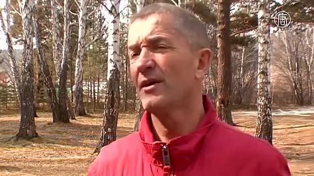 Семья из Иркутской области приютила медвежонка новости смотреть онлайн