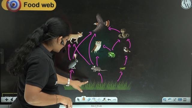 OUR ENVIRONMENT 01 | Pyramid of number | Biology | Class 10th | CBSE | SSC (AP & TS) смотреть онлайн