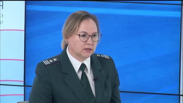 Брифинг «Особенности декларирования доходов за 2023 год» (09.04.2024) смотреть онлайн
