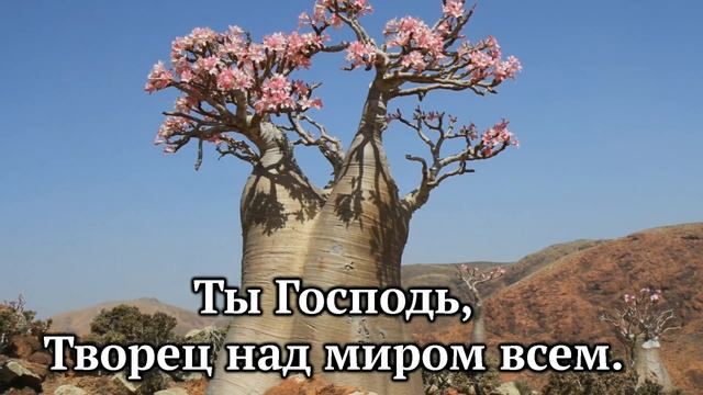 Прекрасен этот мир | Караоке плюс | Христианские песни | Гимны надежды смотреть онлайн