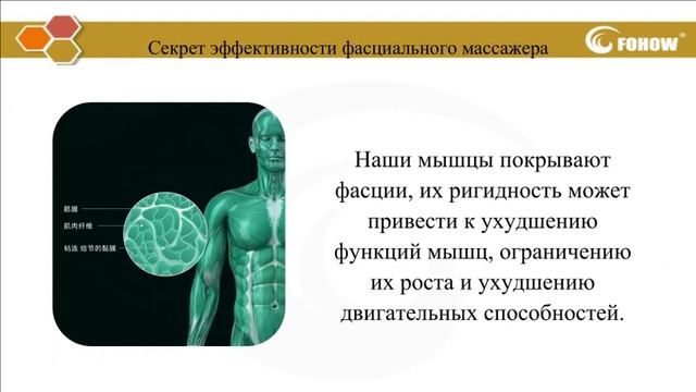 Фасциальный массажер(Новинка) смотреть онлайн