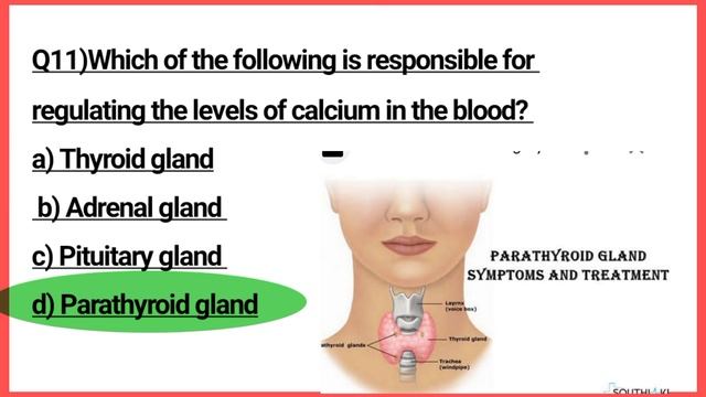 Top 20 mcqs of biology /biology Gk in English /biology MCQs for class 11th and 12th/ cet, biology смотреть онлайн
