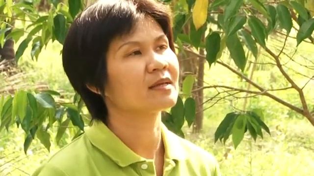 แมลงร้ายทำร้ายมะพร้าว แก้ด้วยแมลงดี смотреть онлайн