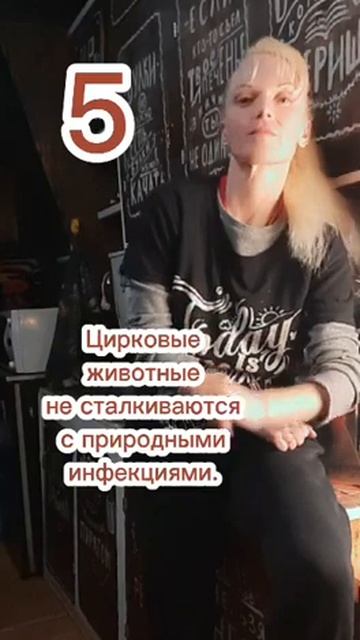 ЦИРКОВЫХ ЖИВОТНЫХ ВЫПУСТИТЬ В ПРИРОДУ. ЭТО ЖЕСТОКО смотреть онлайн