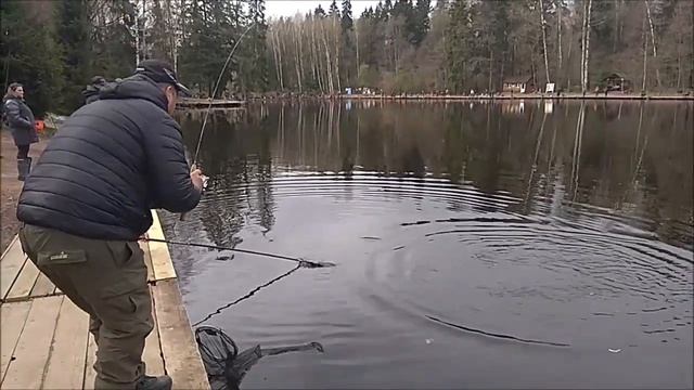 Нижний водоём. Часть 2. Клёвое место, Лосиный остров. смотреть онлайн