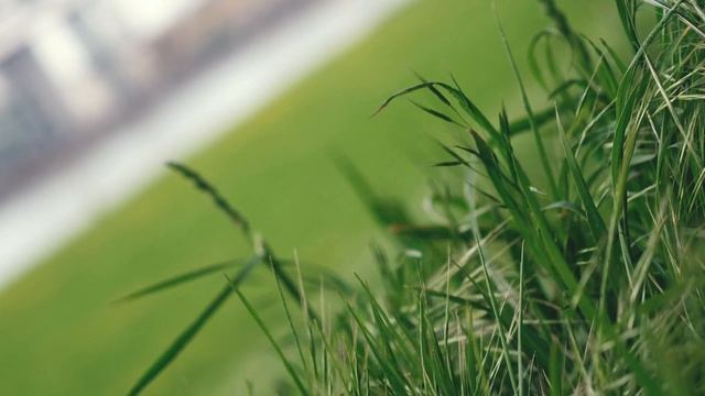 Panasonic GH5 Cinematic (4k 60p) Leica 12-60 mm F2.8-4.0 смотреть онлайн