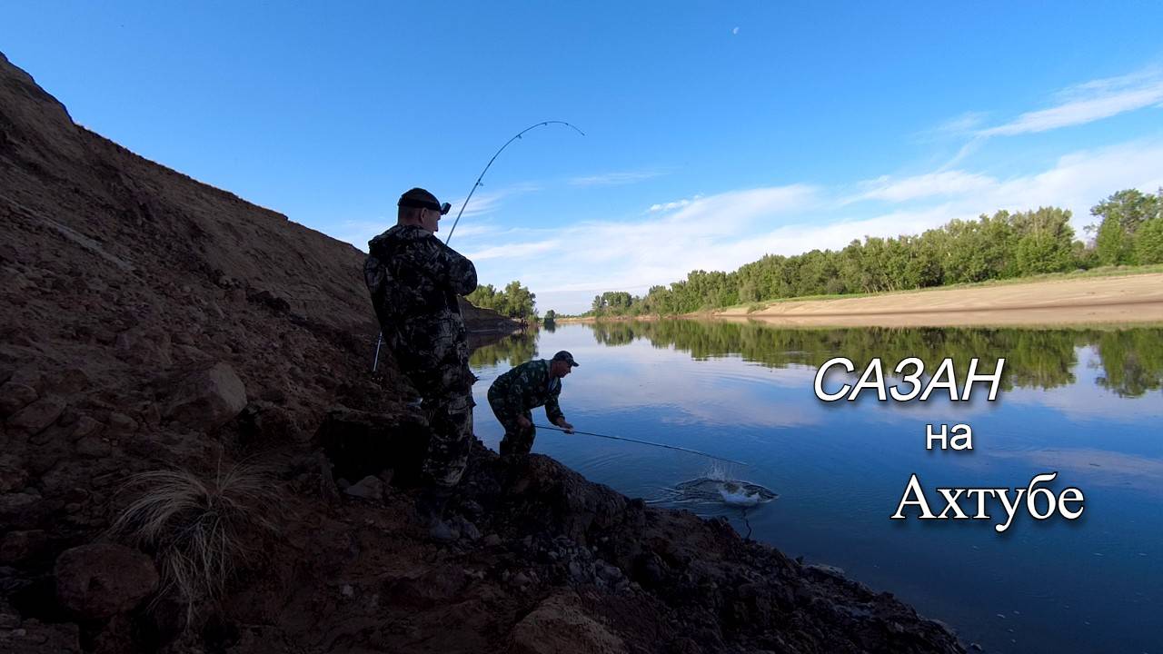 Дикий САЗАН на Ахтубе. Рыбалка на донки смотреть онлайн