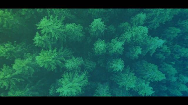 Earth Day I SignOnTheGo - e-signature platform смотреть онлайн