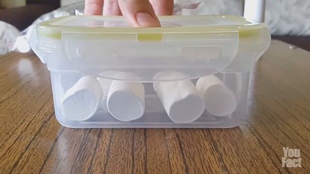 Экспериментатор Что будет, если поместить зефир в вакуум 720p смотреть онлайн