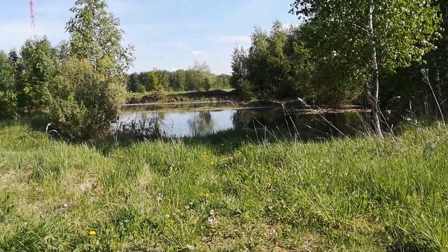 Мусор на каждом углу. смотреть онлайн