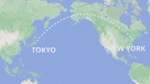 $8,000 Бизнес-класс на ANA Japan  Токио - Нью-Йорк