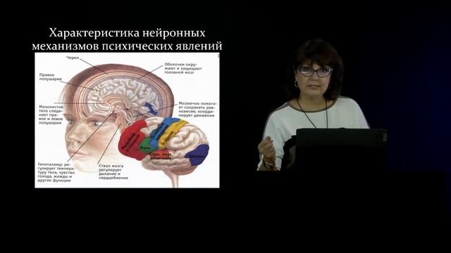 5 Структурно функциональная организация головного мозга ребенка часть 2 смотреть онлайн