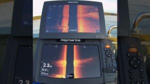 Echosonda Raymarine Axiom 9 vs Raymarine Element 9 Side Imaging