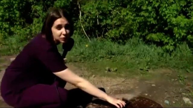 Жители Якоря недовольны напором воды в селе смотреть онлайн