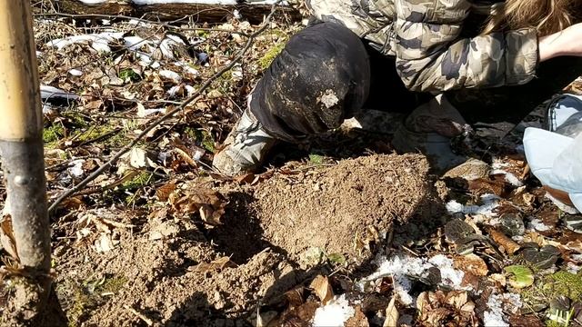 Візерунчастий хрестик, чани і постріли у лісі. смотреть онлайн