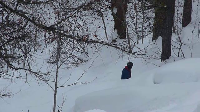Тигра в Шамони 2010 смотреть онлайн