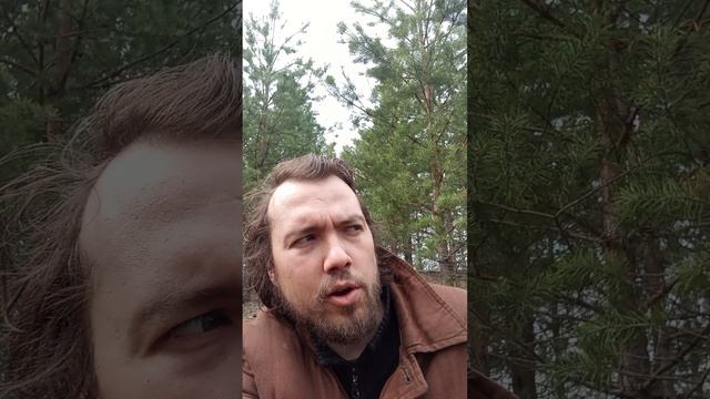 Первый эксперимент с телефоном. Анализ психосоматик. Упускаемый из вида важный фрагмент сепарации. смотреть онлайн