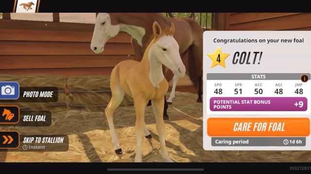 Breeding Tips!! Prestige 22 & The first generation of pure bloods 🩸 смотреть онлайн
