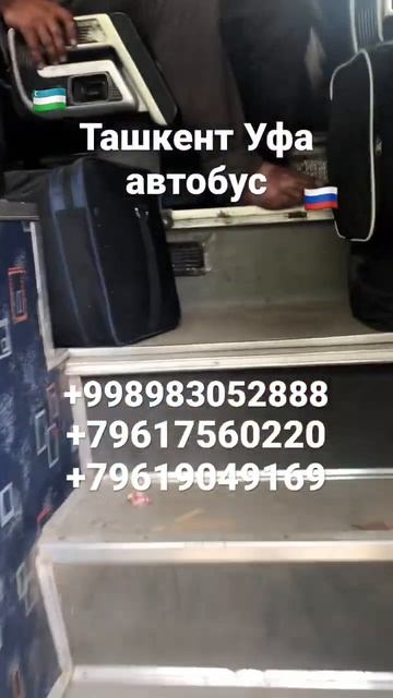 #ташкент #уфа #автобус смотреть онлайн