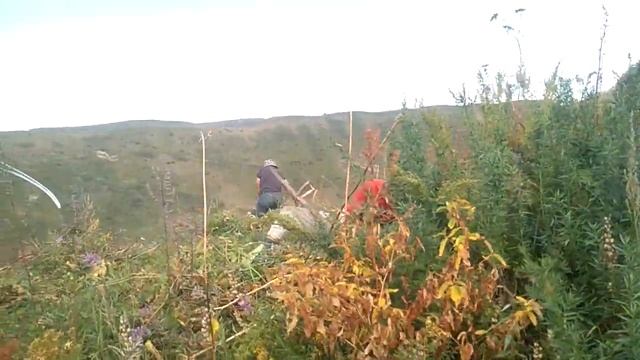 Чоп чабышып койгула смотреть онлайн