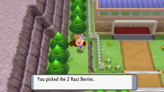 Pokemon Shining Pearl - Walkthrough Part 11 No Commentary Gameplay - Route 206, Wayward Cave & Mira смотреть онлайн