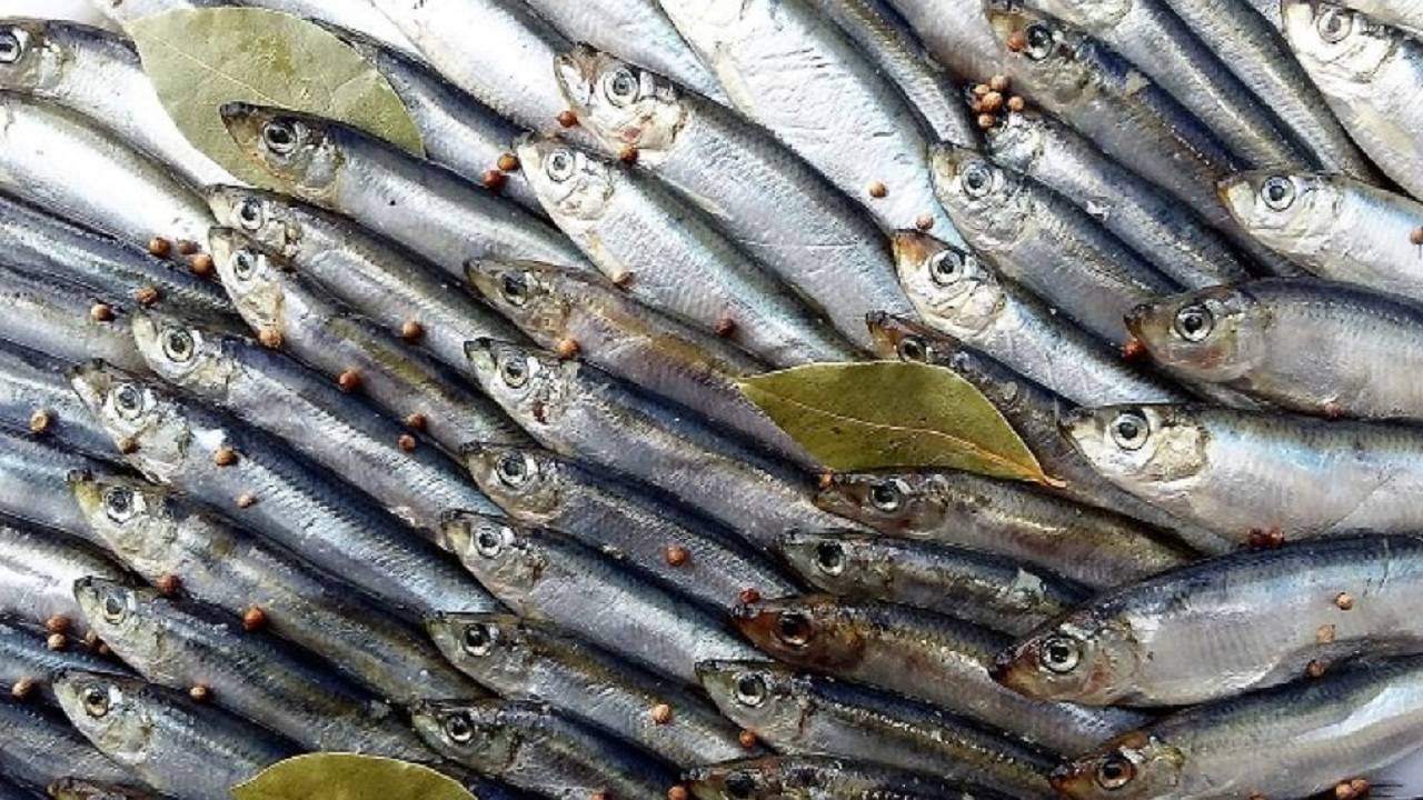 Просто и Вкусно