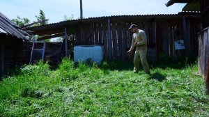 КУПИЛ 2 ДОМА В ДЕРЕВНЕ | ПОДНОЖНЫЙ КОРМ ДЛЯ ЖИВОТНЫХ | ПРО САЛО