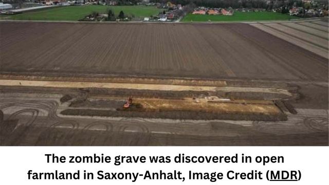 Archaeologists uncover 4,200-year-old “zombie grave” смотреть онлайн