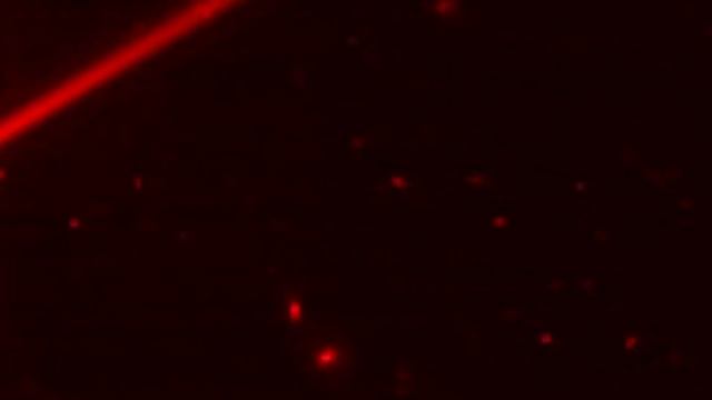 James Webb Telescope Captured Billion Years old Spiral Galaxies in Space || James Webb Telescope ||