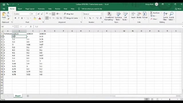 SPSS RAL 2 Faktor смотреть онлайн