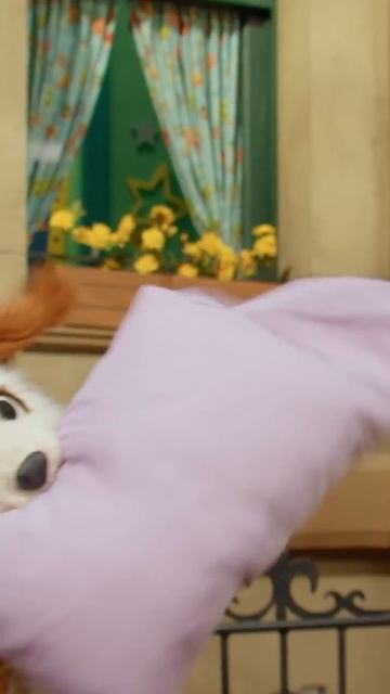 Собачка 😂❤️ смотреть онлайн