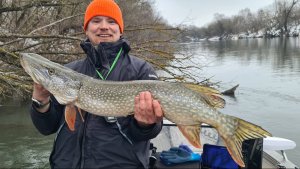 БОЛЬШИЕ ЩУКИ клюют на мышей! Рыбалка на реке в январе на спининг, мышь, бактейл, мухи, miuras mouse
