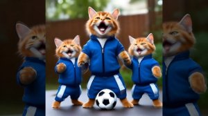 Папа может... Котоклип. Детская песенка.